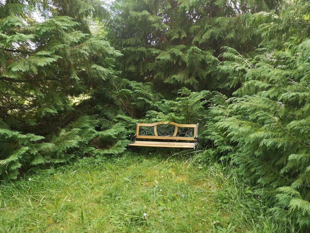 Bed and Breakfast La Montagne Sud Allemans Esterno foto
