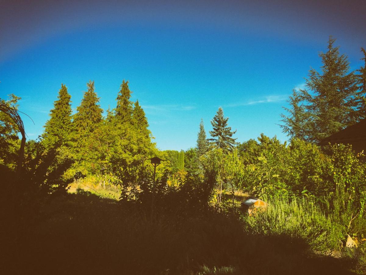 Bed and Breakfast La Montagne Sud Allemans Esterno foto